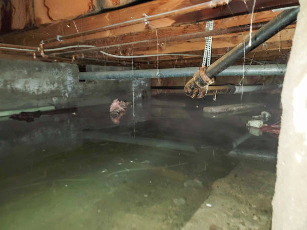 Best Water damage restoration cost  in Walkertown, NC