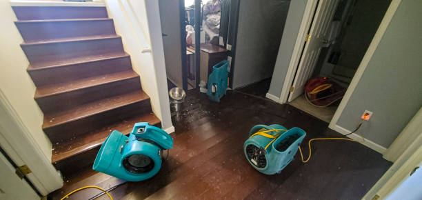 Best Local water damage restoration  in Walkertown, NC