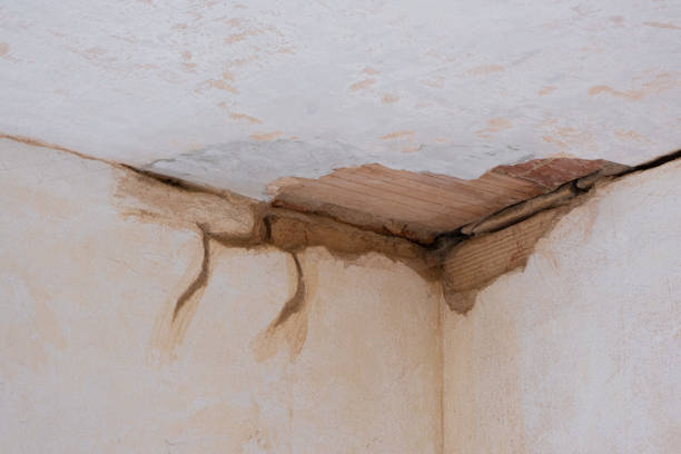 Reliable Walkertown, NC Water damage restoration Solutions