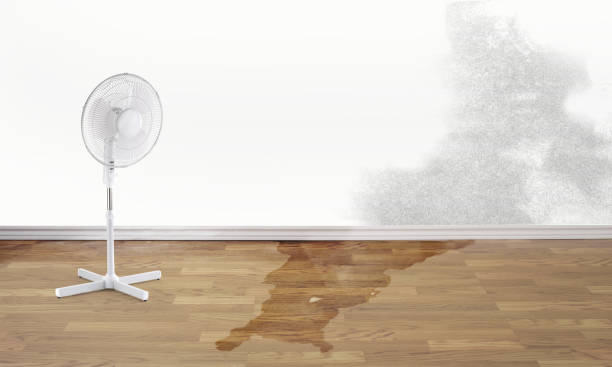 Professional Water damage restoration in Walkertown, NC