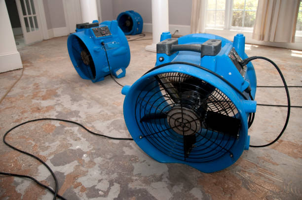 Best Residential water damage restoration  in Walkertown, NC