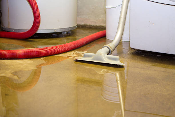Best 24/7 water damage repair  in Walkertown, NC