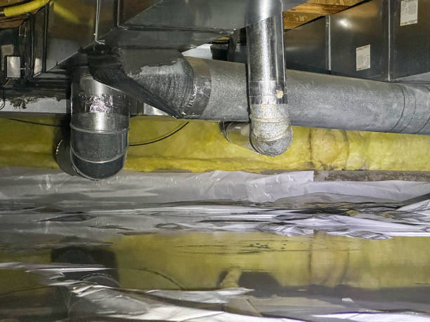 Best Professional water damage repair  in Walkertown, NC