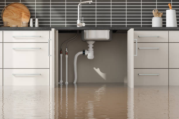 Best Flood damage cleanup  in Walkertown, NC