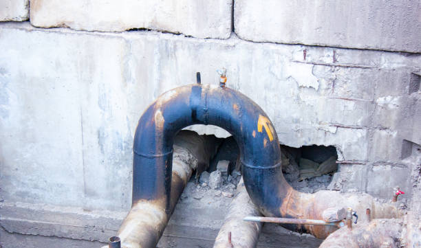 Best Sewage cleanup and water damage restoration  in Walkertown, NC